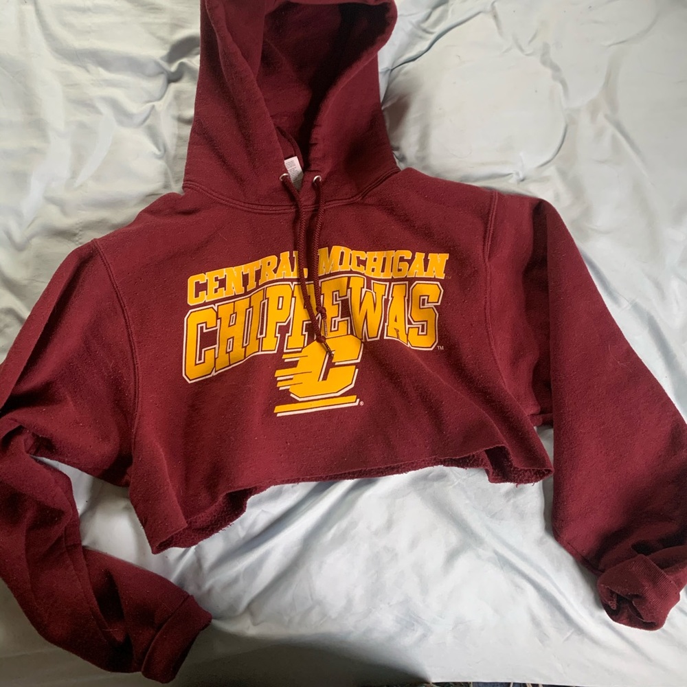 Cropped College Sweatshirt (CMU)